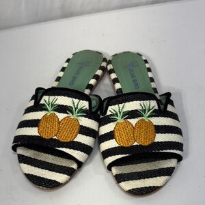 🧤Blue Bird Black and White Striped Slides with Pineapple Embroidery